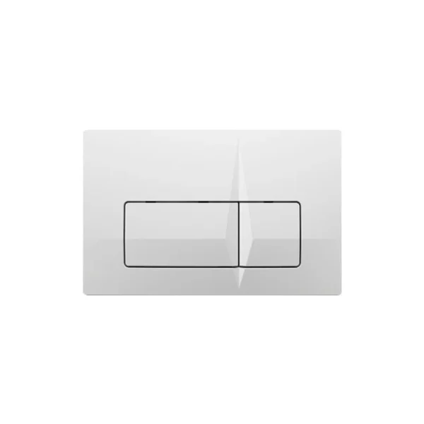FS 0200221-00 SWISH Flushing Switch